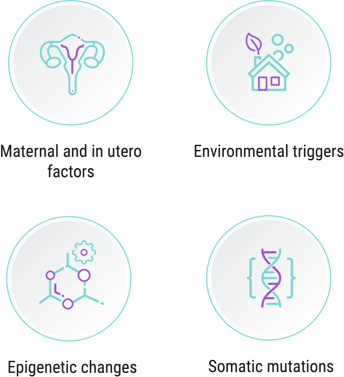 Icons of: maternal and in utero factors; environmental triggers; epigenetic changes; somatic mutations