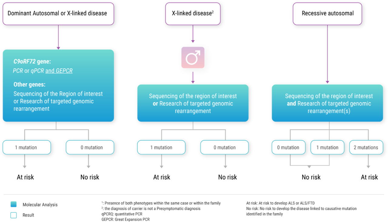 Infographic about the potential genetic testing algorithm (starting from dominant autosomal or X-linked disease; X-linked disease and recessive autosomal).